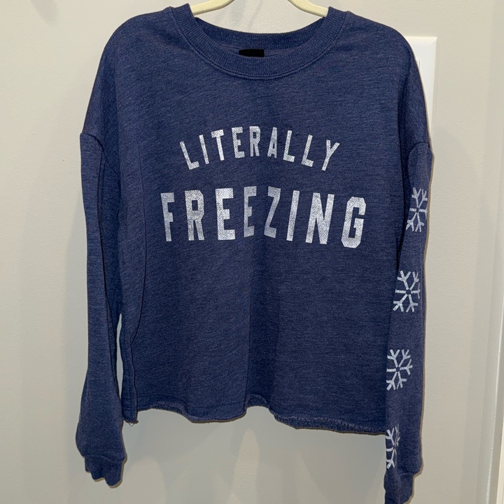 Literally Freezing Sweatshirt